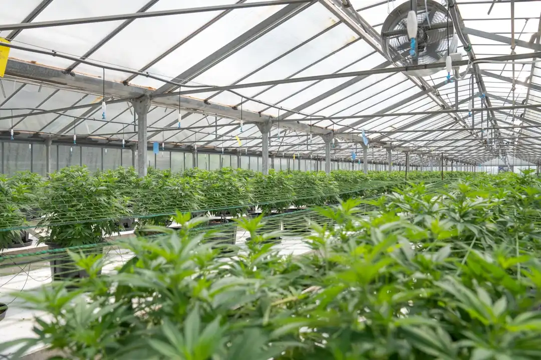 武汉腾善堂大健康咨询：企业员工健康管理定制方案与案例分享